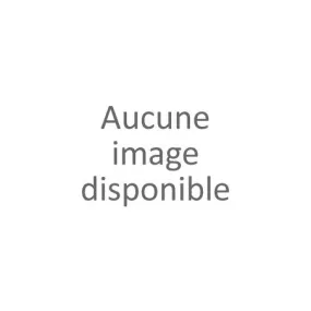 Liquette papillon grande taille femme