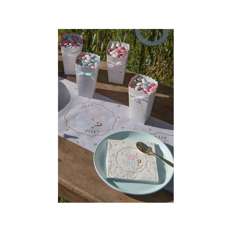 Serviettes Girl or Boy Gender Reveal x20